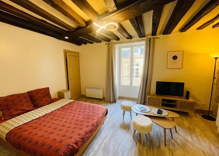 Daire Le Du Vieux-mans - 2 Guests - Wifi