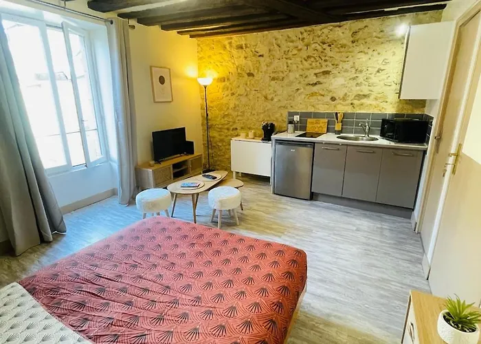 Le Du Vieux-mans - 2 Guests - Wifi Appartement *